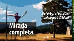 2026-07-28-Estilo-1