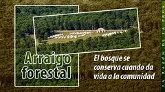 2026-07-28-Argumentos-1