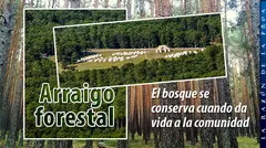 2026-07-28-Argumentos-1