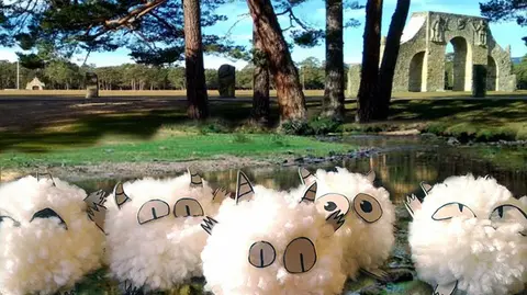 2019-11-01-trocha-retazos-w