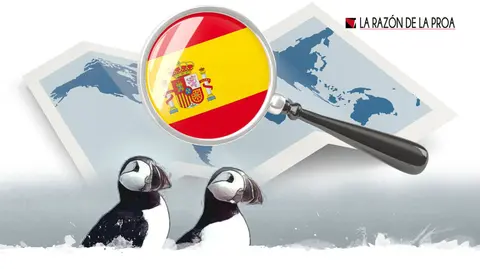 2020-02-24-rara-avis-1w