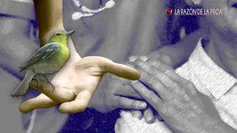 2020-12-31-eutanasia-1w