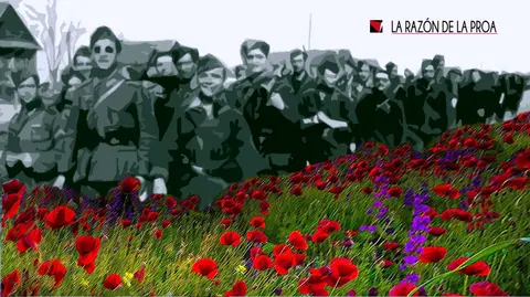 2021-01-03-primavera-1w