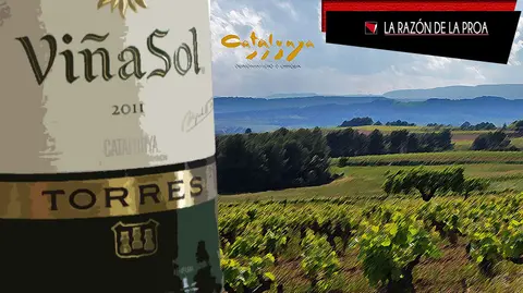 2021-09-15-vi&ntilde;asol-1w