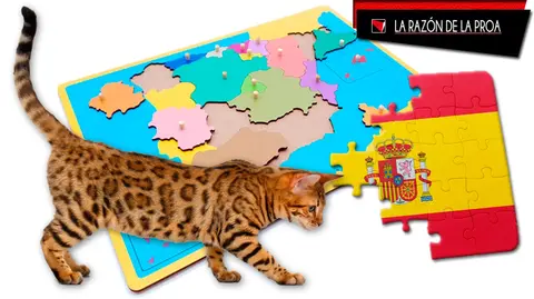 2021-10-09-gato-cascabel-1w