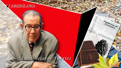 2023-02-18-Juan-Velarde-1w