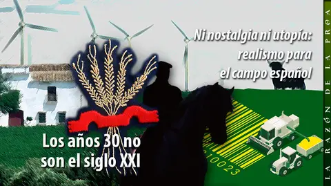 2026-04-15-Argumentos-Hedilla-1w