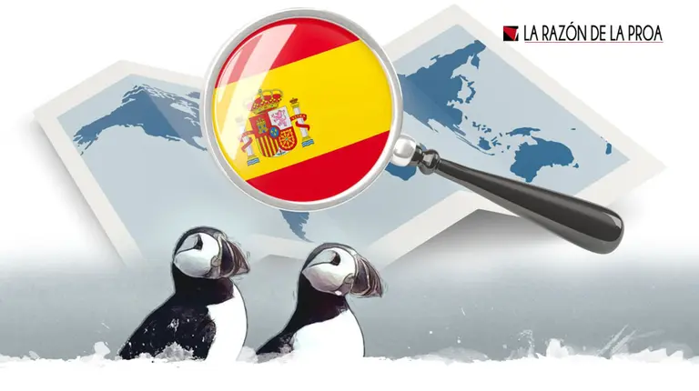 2020-02-24-rara-avis-1w