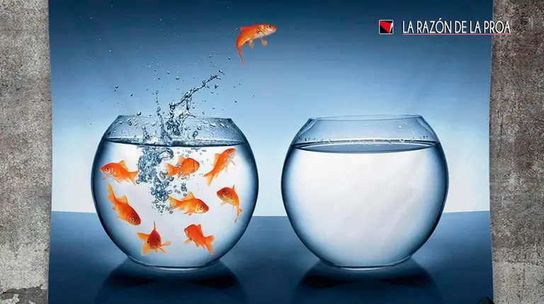 2021-06-05-todos-veganos-1w