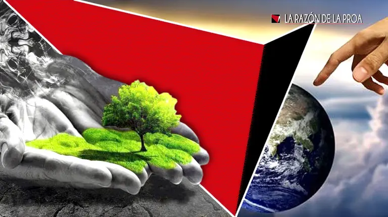 2021-11-07-naturaleza-creacion-1w