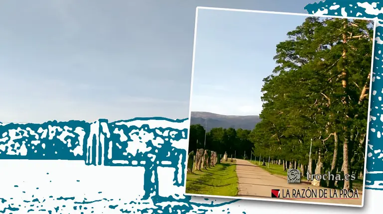 2022-02-02-editorial-1w