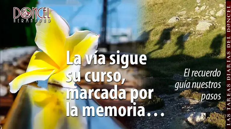 2026-01-26-Editorial-1w