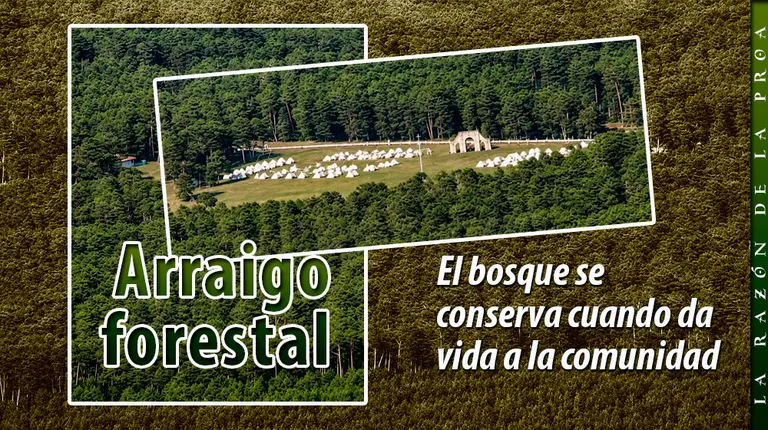 2026-07-28-Argumentos-1