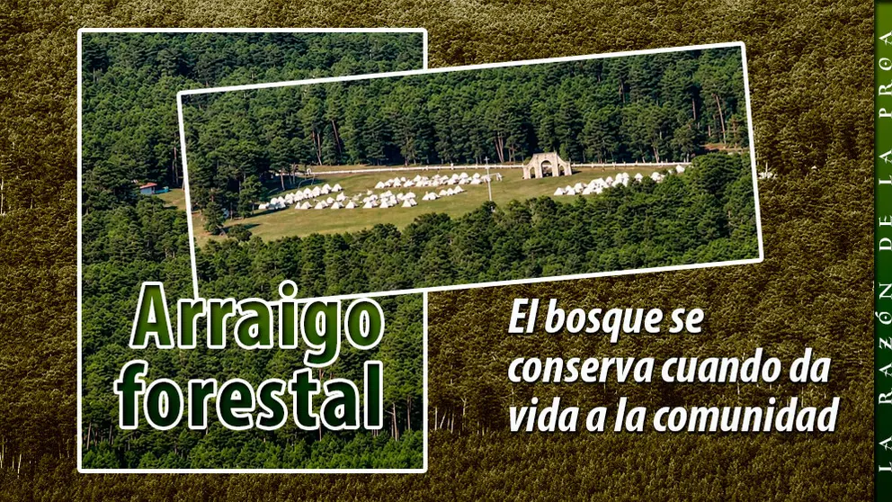 2026-07-28-Argumentos-1